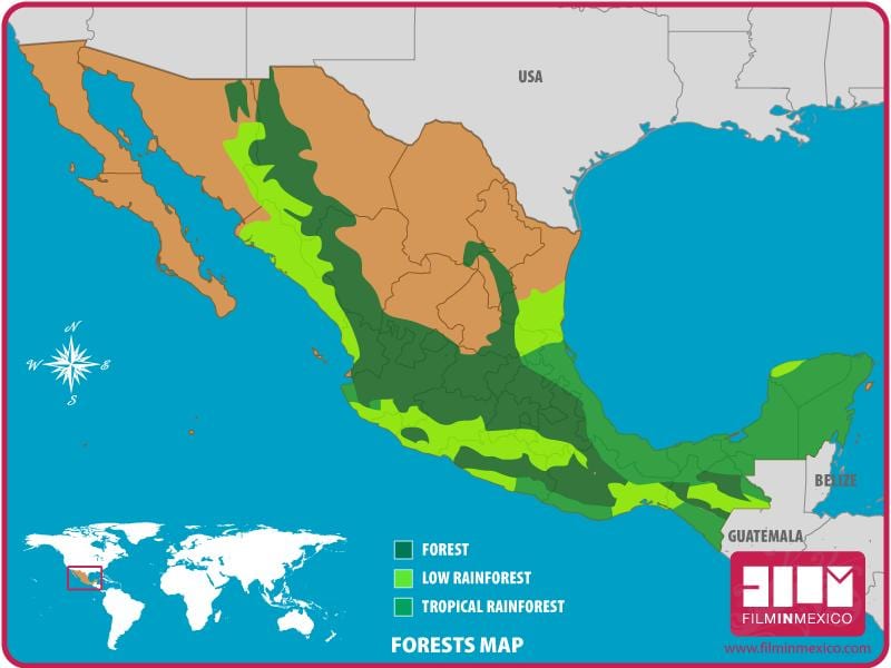 peta Mexico hutan
