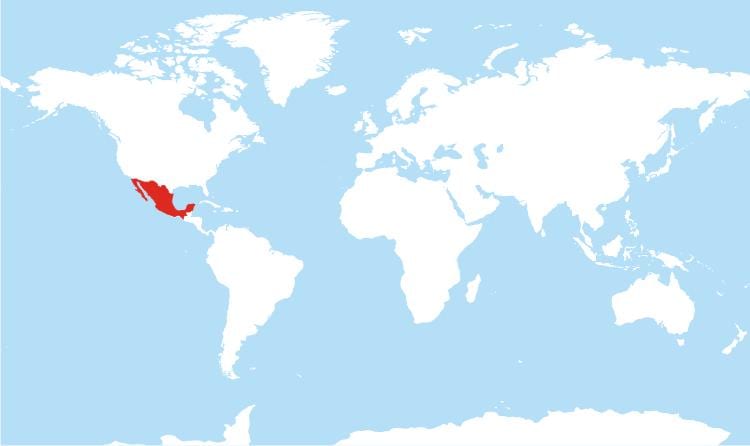 lokasi Mexico dalam peta dunia