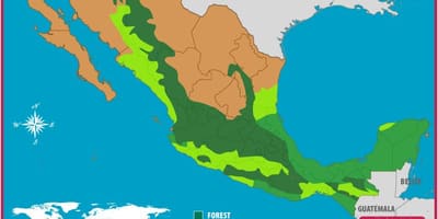Peta Mexico hutan