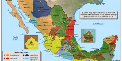 Mexico kartel peta