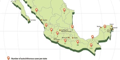 Zika Mexico peta